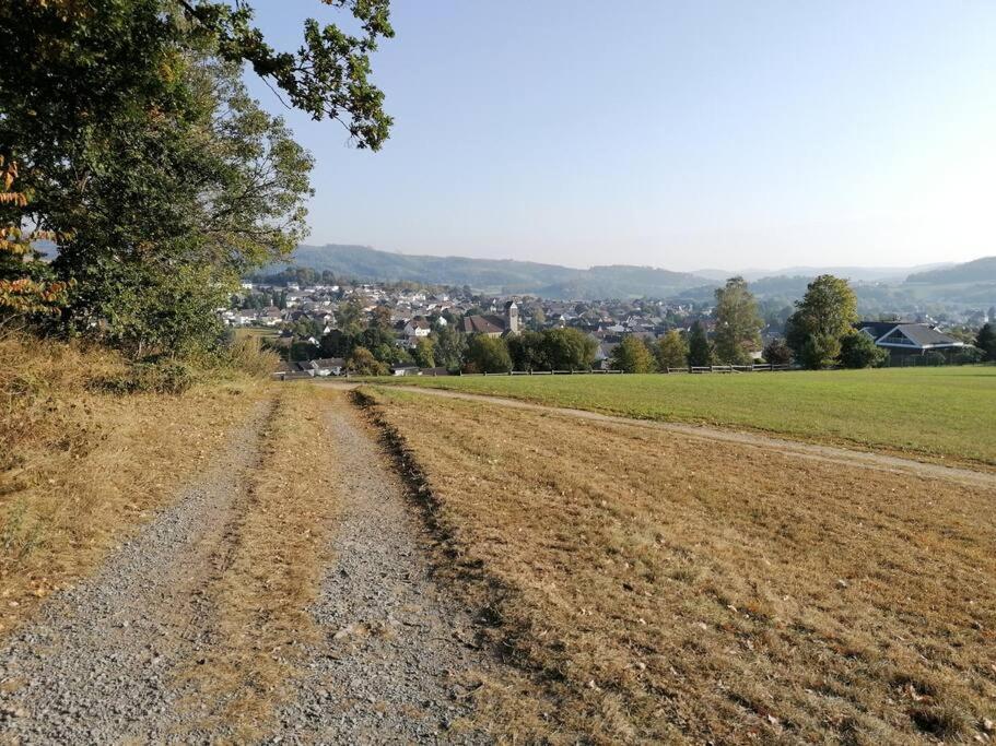 BalveSauerlandluftアパートメント エクステリア 写真